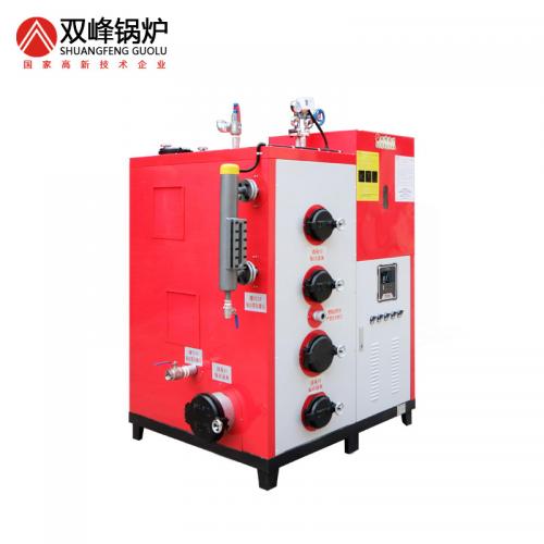 生物質蒸汽發生器300公斤